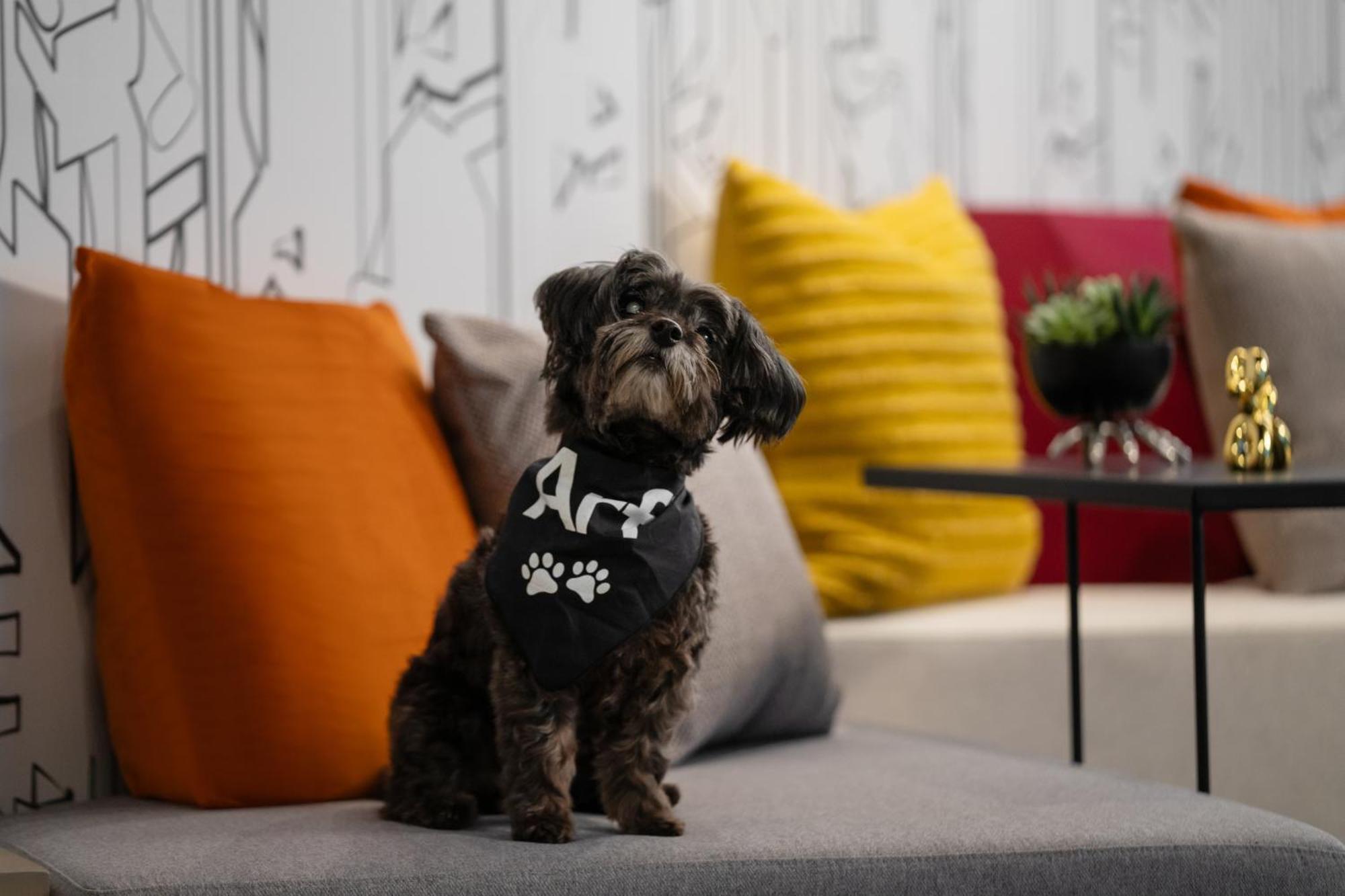 Aloft New York Chelsea Hotel Екстериор снимка